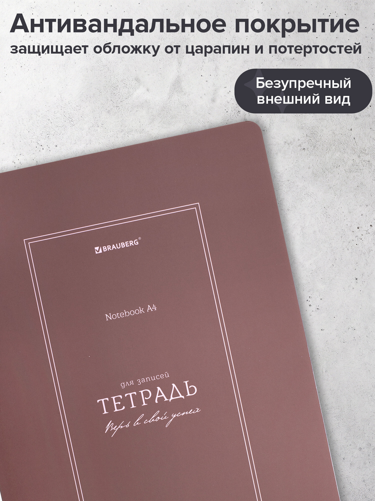 Тетрадь Brauberg клетка 96 лист. 2 шт. - фото 5