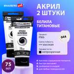 Краски акриловые Brauberg 2 цв.