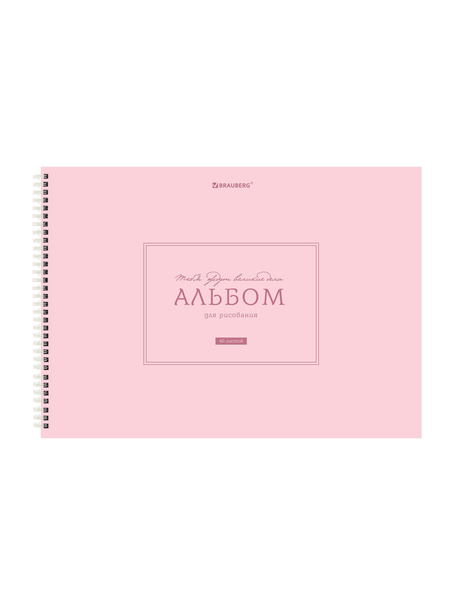 Альбом Brauberg А4 40 лист. 2 шт. - фото 5