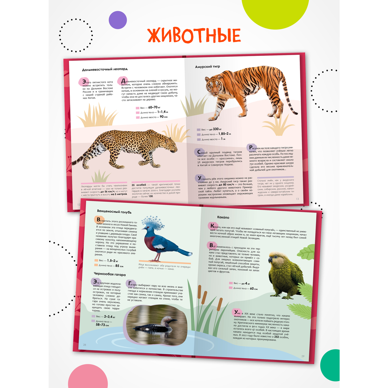 Книга МОЗАИКА kids Тайна пропавшей медали - фото 5