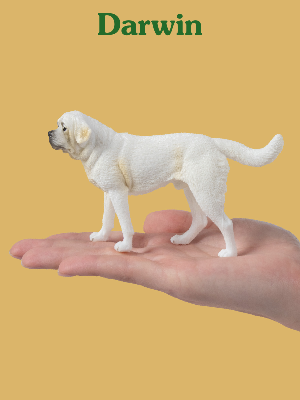 Фигурка DARWIN Собака Сенбернар - фото 2