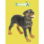 Фигурка Collecta Ротвейлер