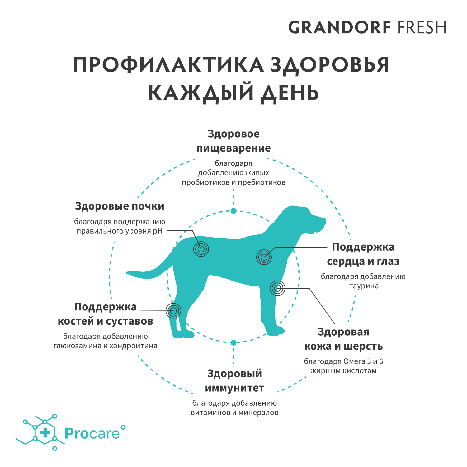 Корм для собак GRANDORF FRESH Fresh Dog Adult Maxi Lamb/Sweet Potato круп пород Свежее мясо ягненка 10кг беззерн с жив пробиотиками - фото 7