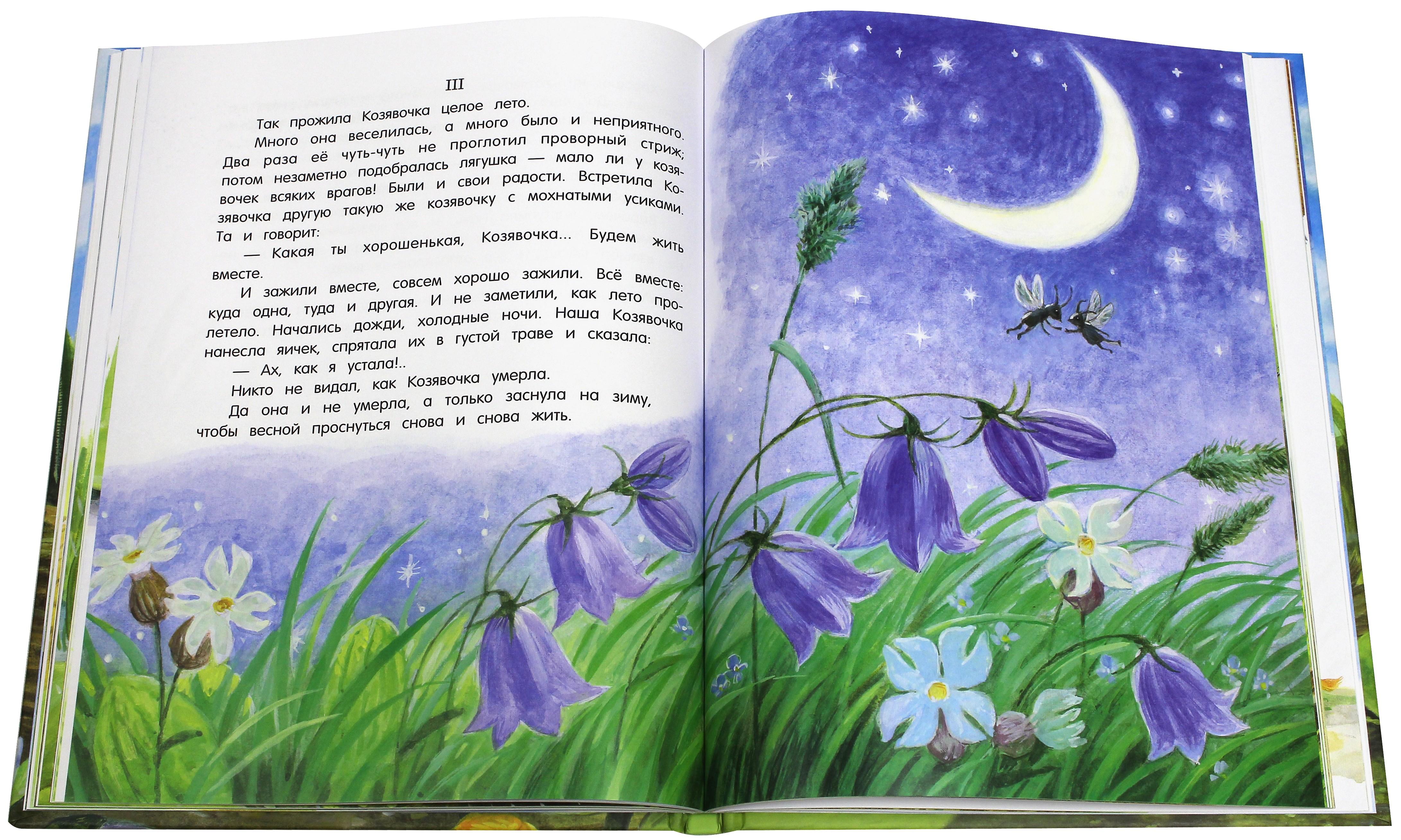 Книга Лабиринт Лягушка путешественница - фото 4