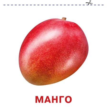 Книга карточки для малышей Фрукты