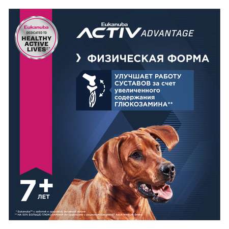 Корм для собак Eukanuba 4кг Синьор Ладж Брид 7+