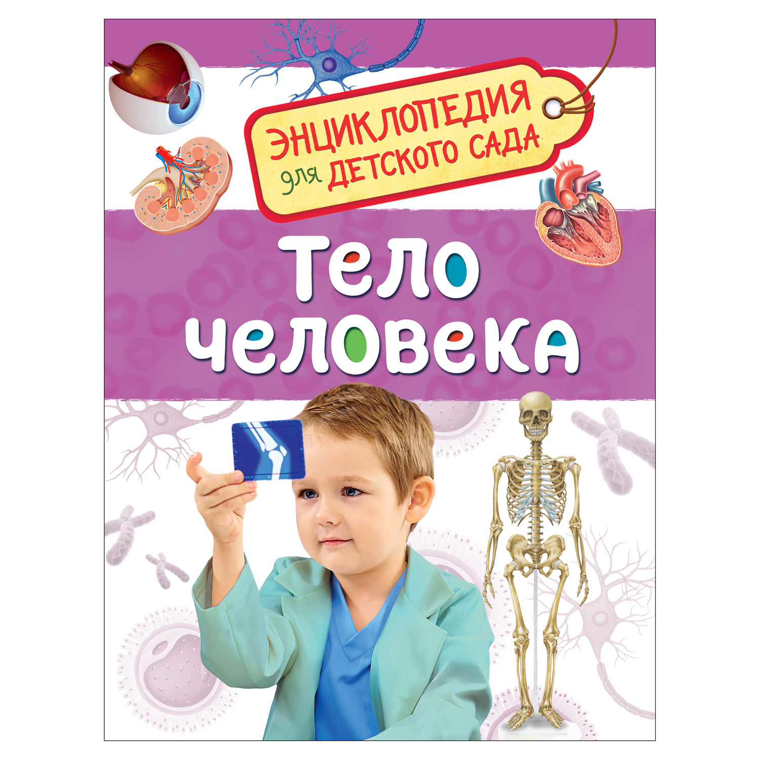 Энциклопедия Росмэн Тело человека - фото 1