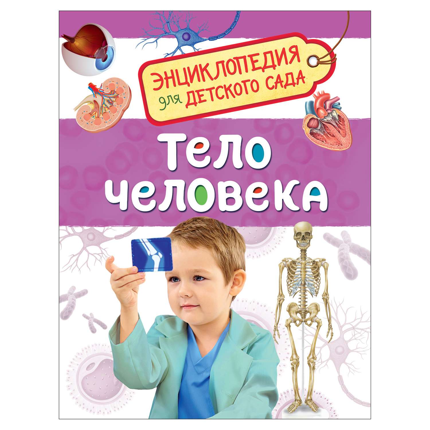 Энциклопедия Росмэн Тело человека - фото 1