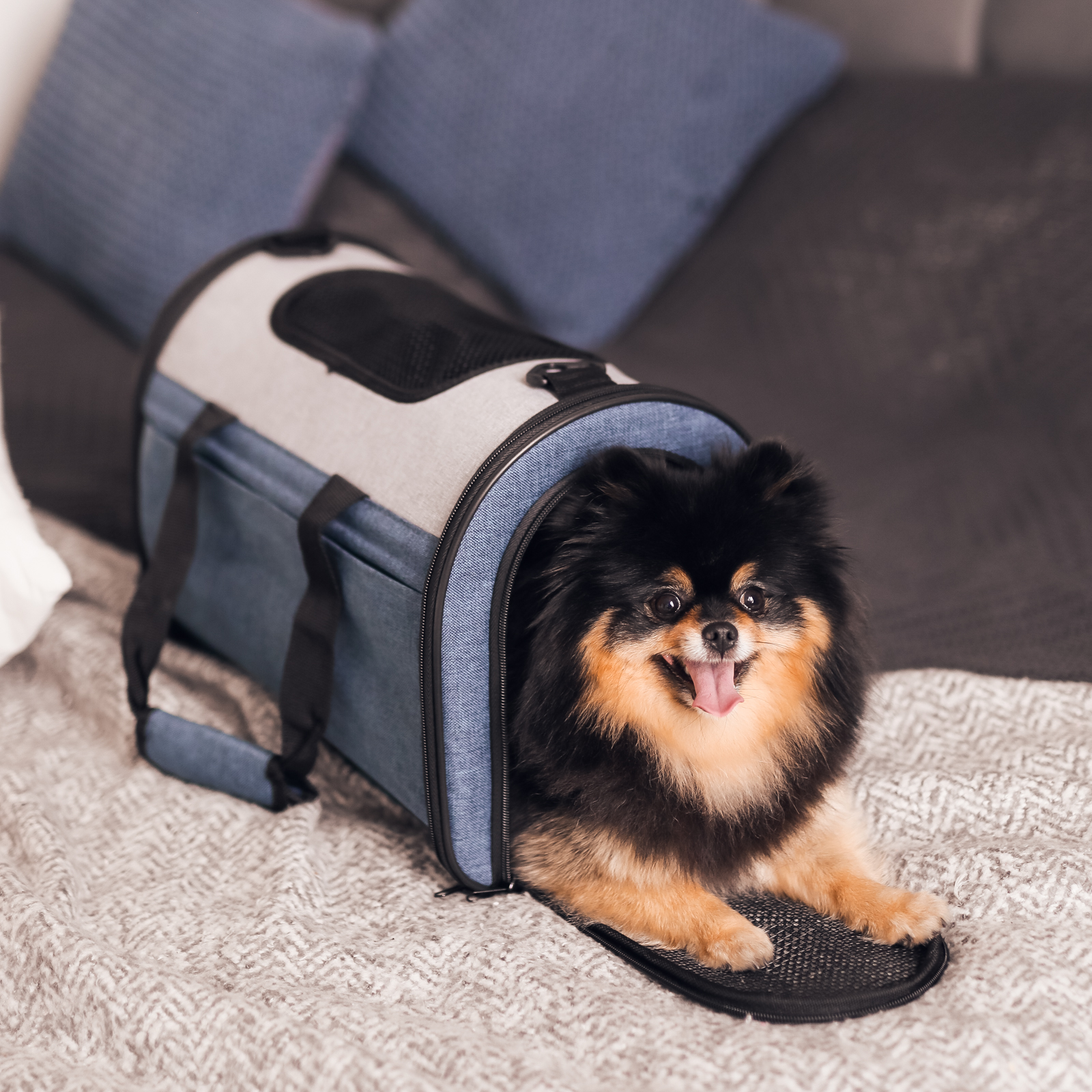 Переноска для собак Не один дома Bag 860520-09BLgr - фото 9
