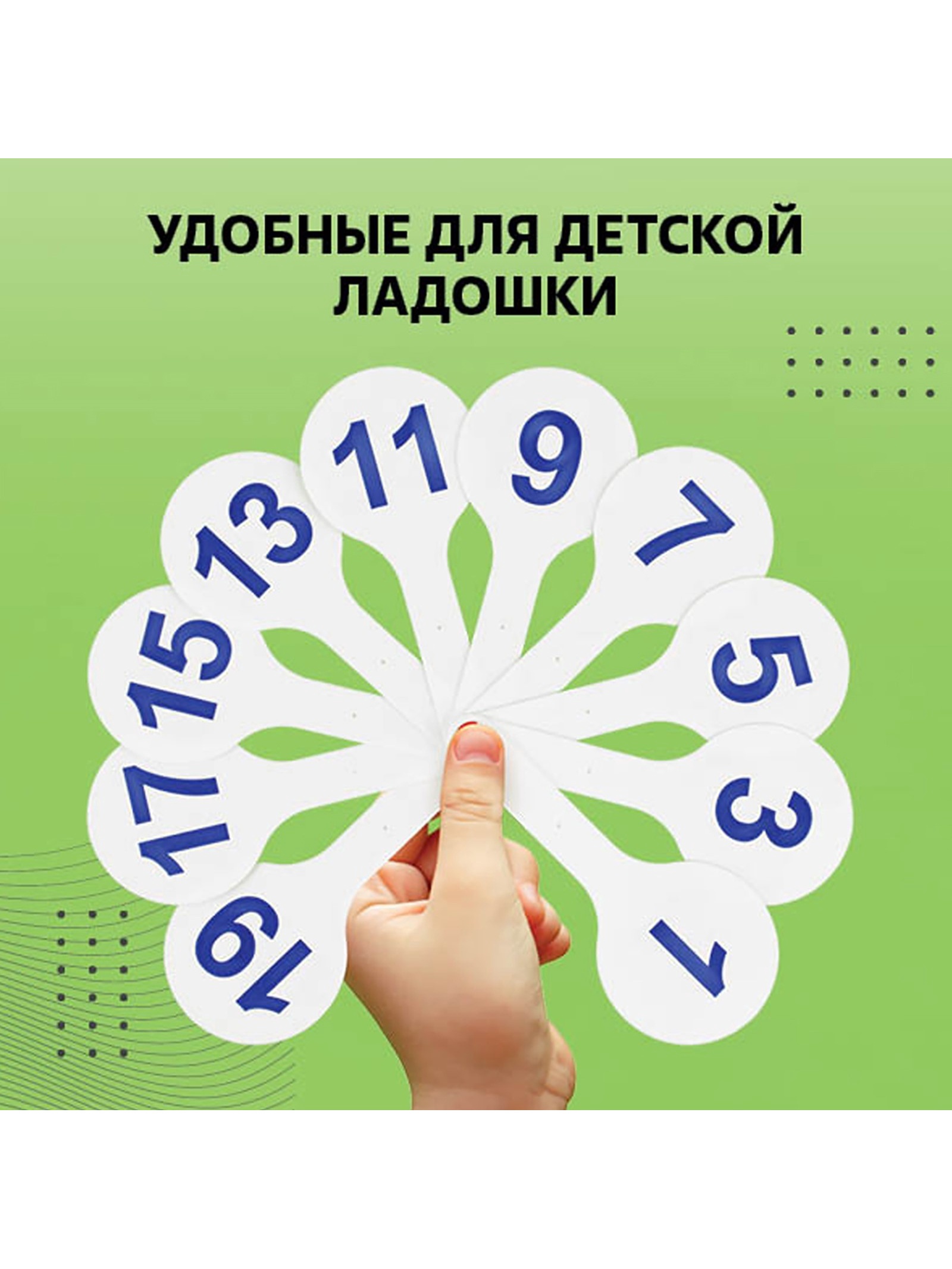 Касса-веер Calligrata - фото 9