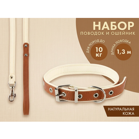 Комплект Пушистое счастье ошейник и поводок с косой бежевый