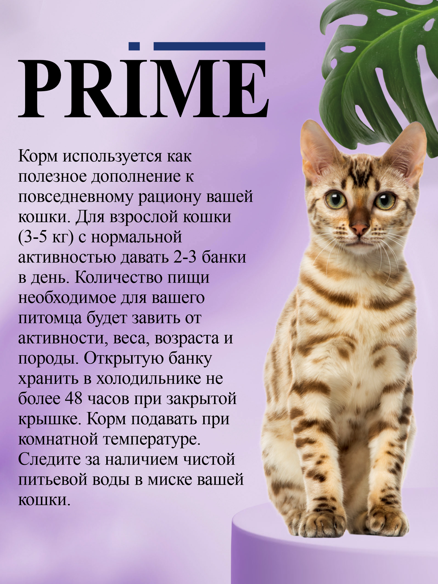 Корм для кошек влажный Prime Adult Курица и ягнёнок паштет ж/б 75г 12 шт. - фото 4