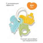 Прорезыватель BabyGo Кругосветное путешествие