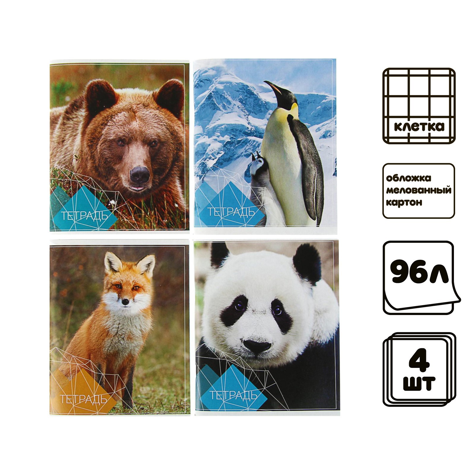 Общая тетрадь Calligrata клетка 96 лист. 4 шт. - фото 1