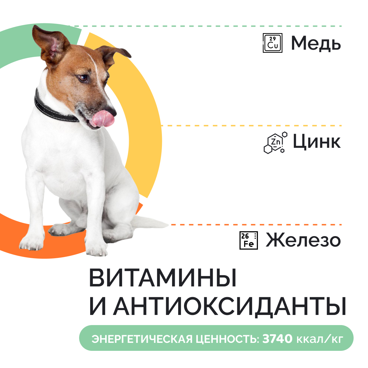 Корм сухой DOGSY с курицей и рисом 3 кг - фото 7