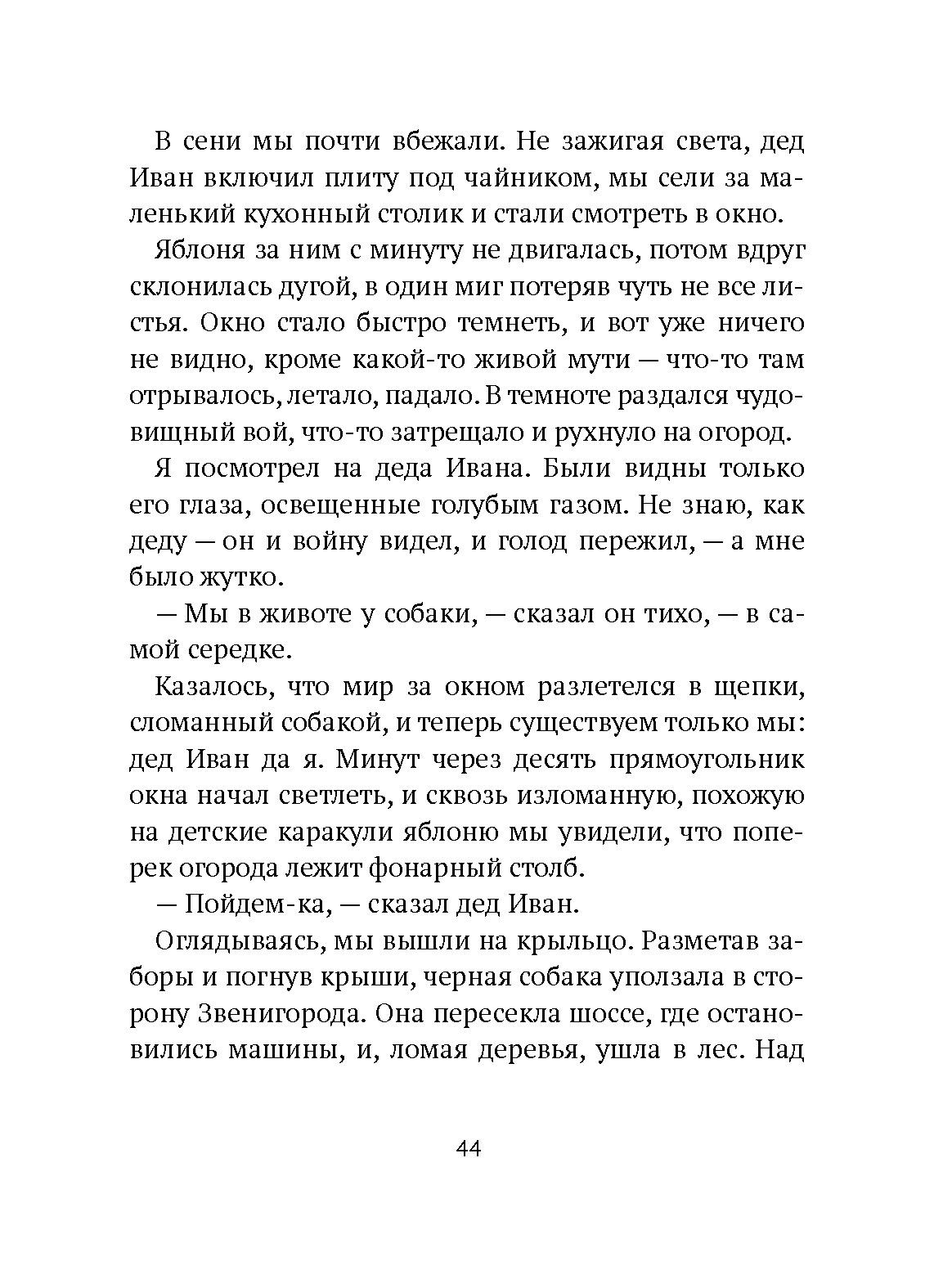 Книга Волчок Поворот - фото 5