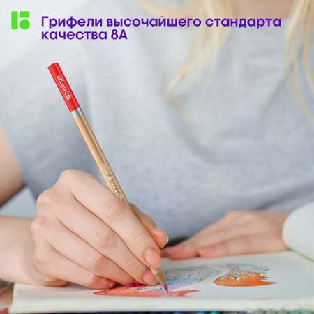 Карандаши цветные BERLINGO 72 шт.