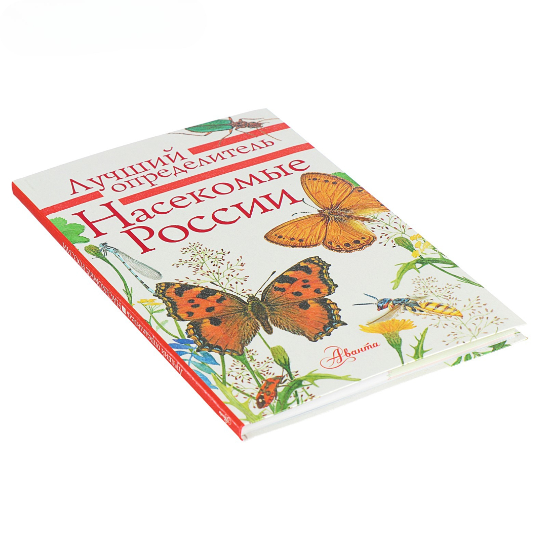 Лучший определитель АСТ Насекомые России - фото 2