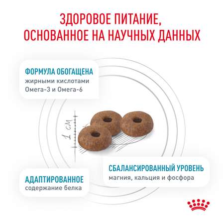 Корм для кошек ROYAL CANIN Skin Coat для поддержания защитных функций кожи 350г