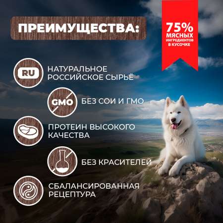 Корм для собак Родные корма По-хански говяжьи кусочки в соусе 410г