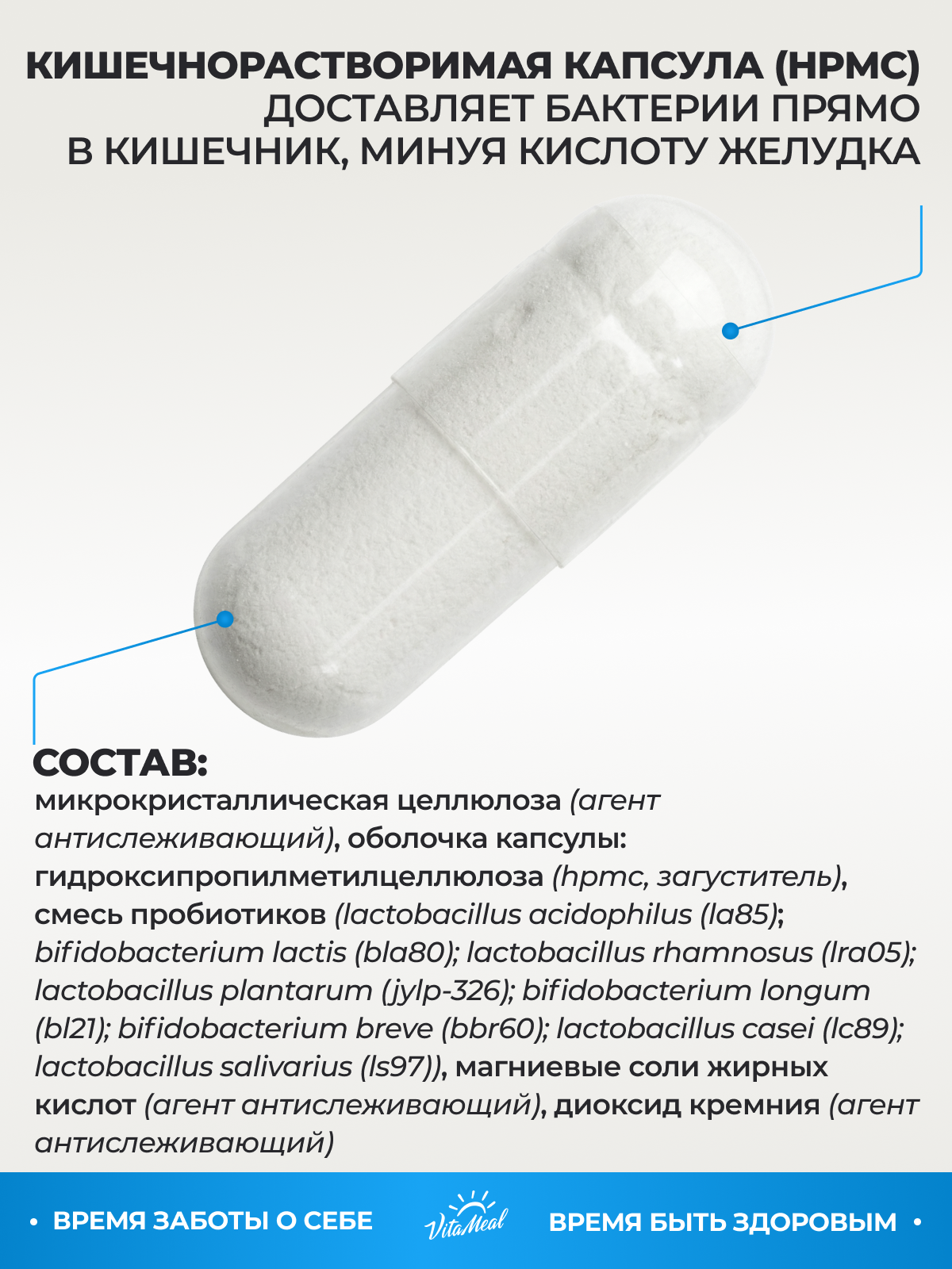 Биологически активная добавка VitaMeal Пробиотики и пребиотики для ЖКТ и микрофлоры кишечника 60 капсул - фото 6