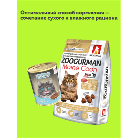 Корм влажный Зоогурман Big Cat с нежной Говядиной 350гр х 12 шт