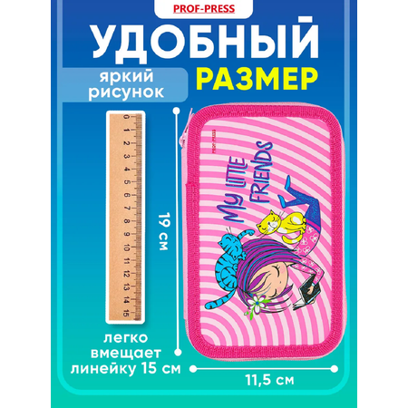 Пенал книжка Prof-Press