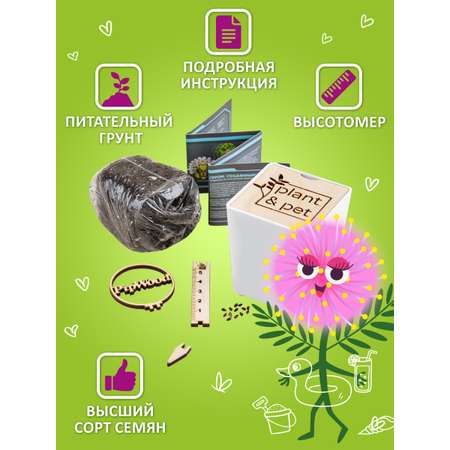 Набор для выращивания Blabar