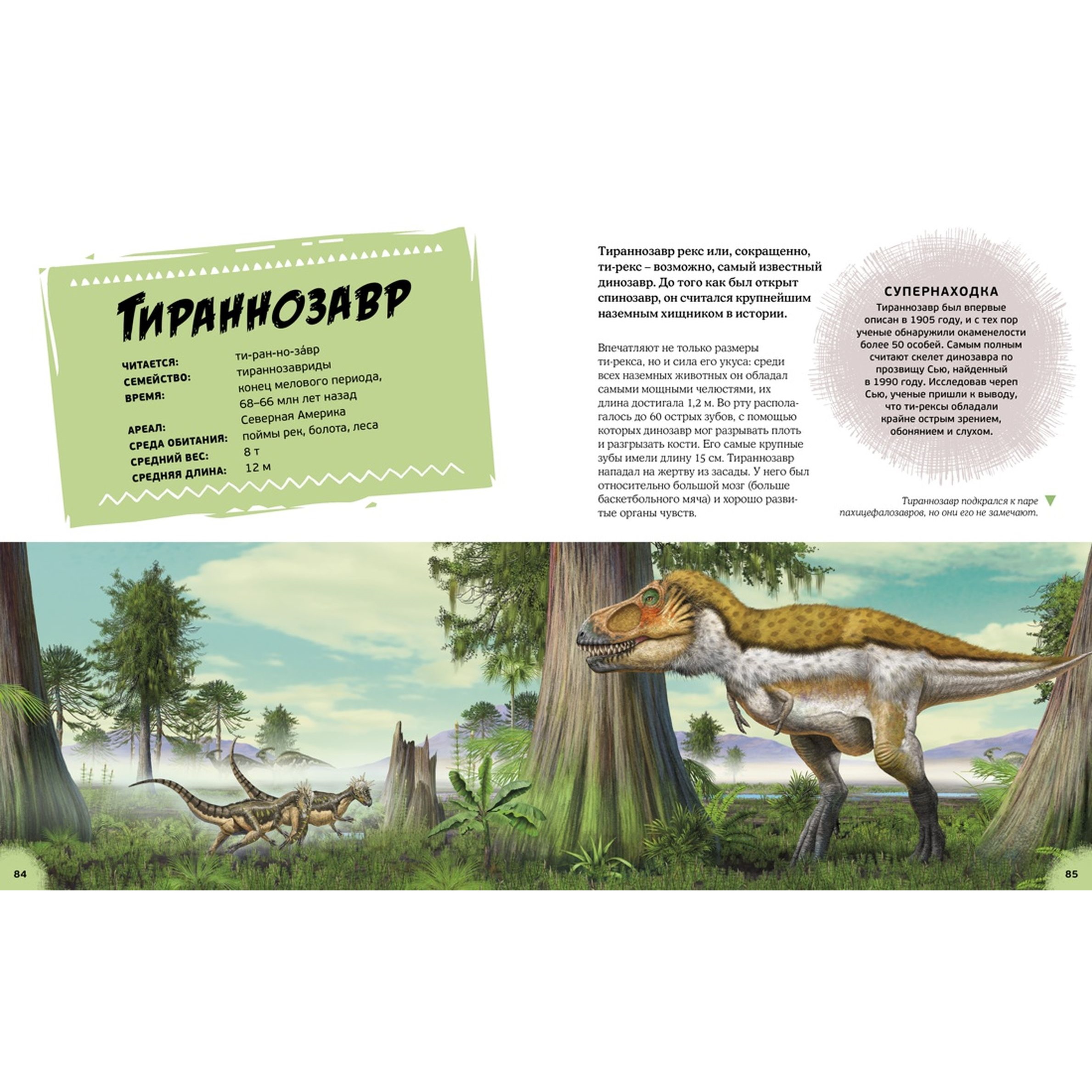Книга Махаон Эра динозавров Жизнь в доисторические времена - фото 6