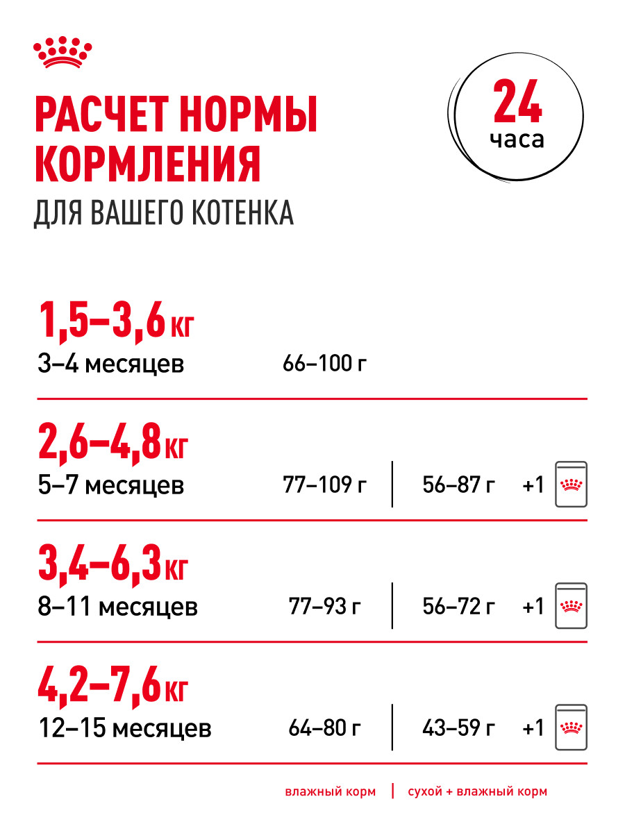 Корм для котят Royal Canin 85г Maine Coon Kitten соус для котят мейн кун пауч - фото 9
