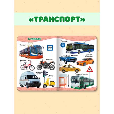Книжки Проф-Пресс картонные для малышей. 4 шт. Животные+изучаем цвета+счёт+транспорт. 16х22 см
