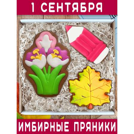 Пряники имбирные ручной работы Вкусный подарок Подарочный набор на 1 сентября и День учителя