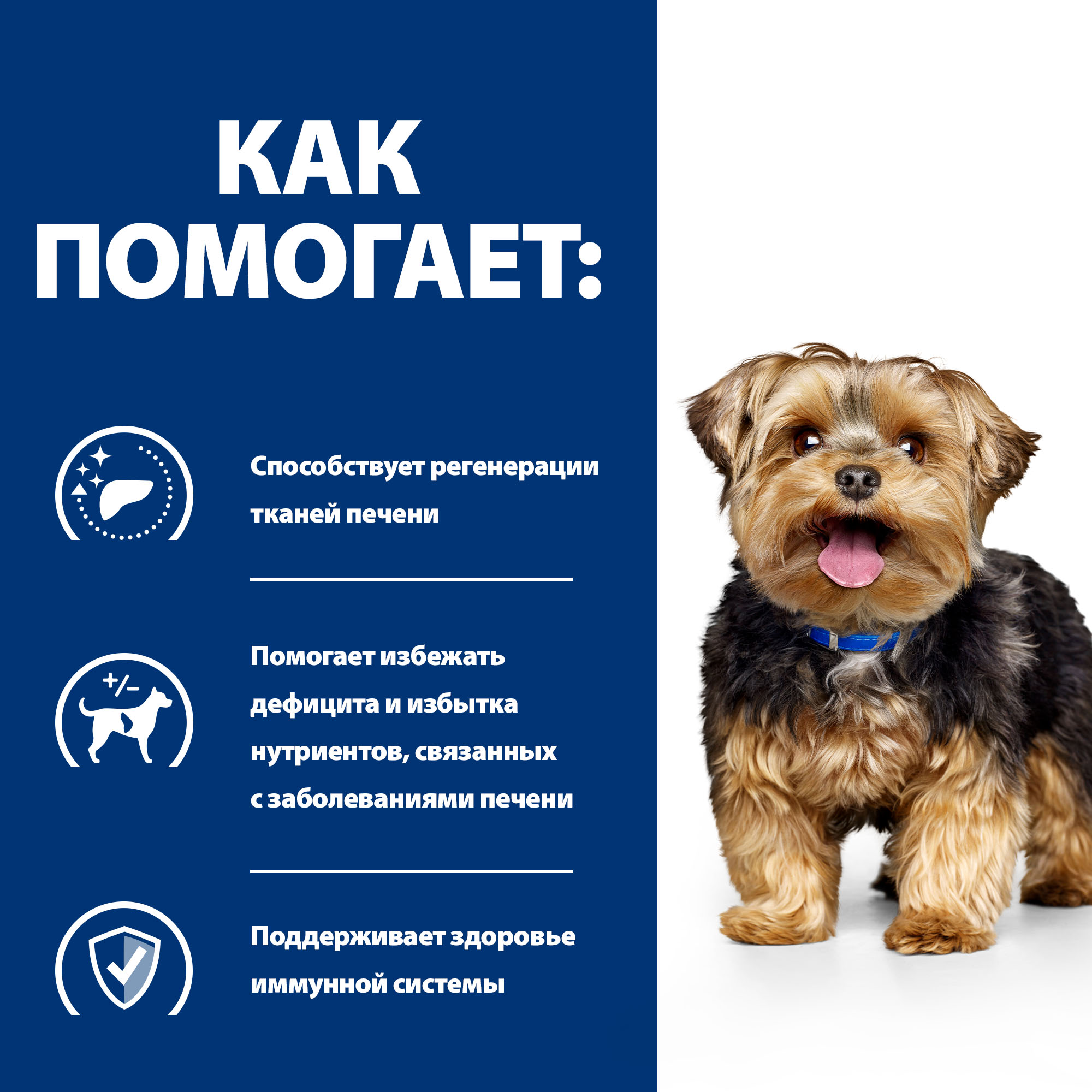 Корм для собак HILLS 4кг Prescription Diet l/d при заболеваниях печени сухой - фото 5