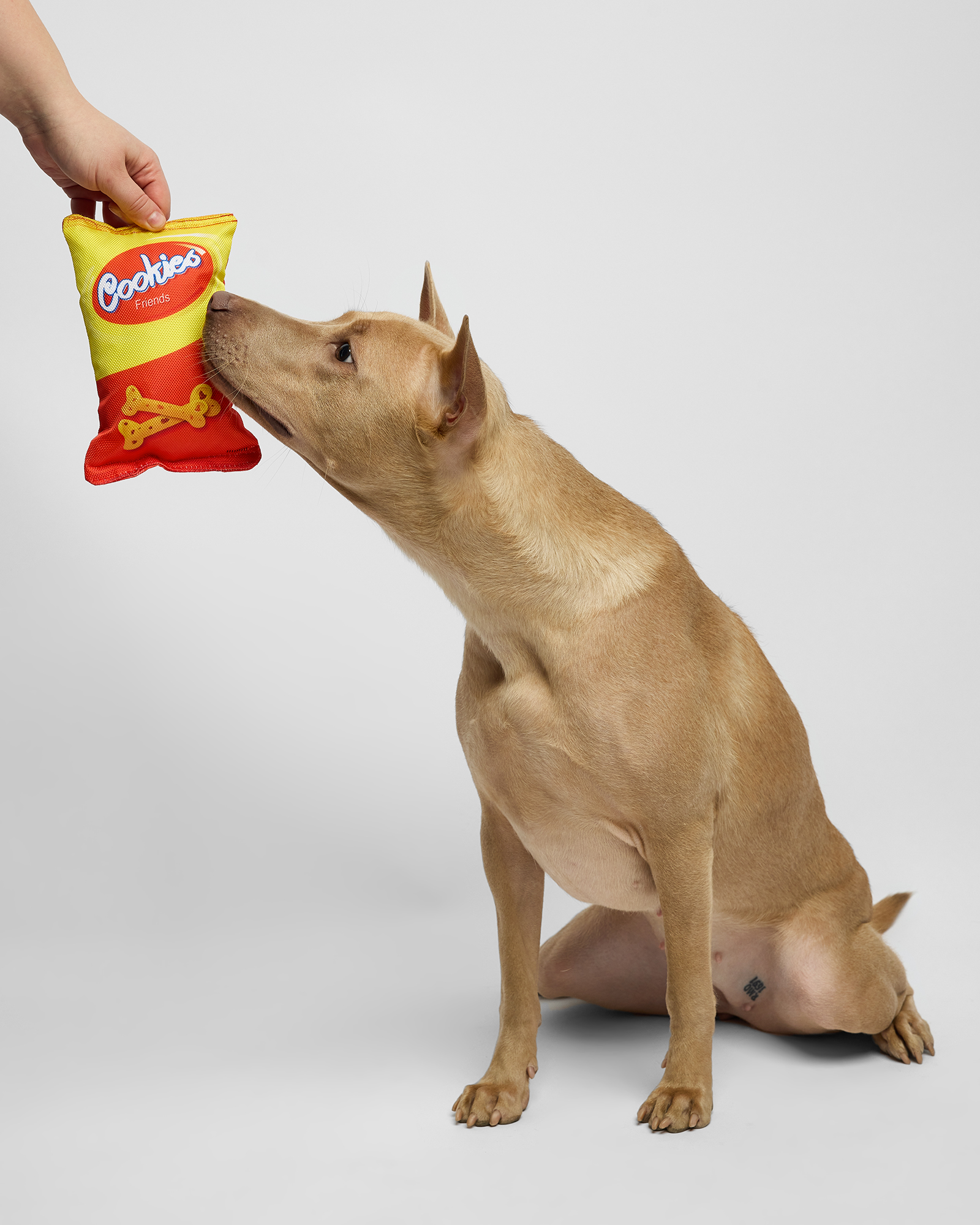 Игрушка для собак Barbaks Пакет снеков особо прочный шуршит 20*14 см - фото 4