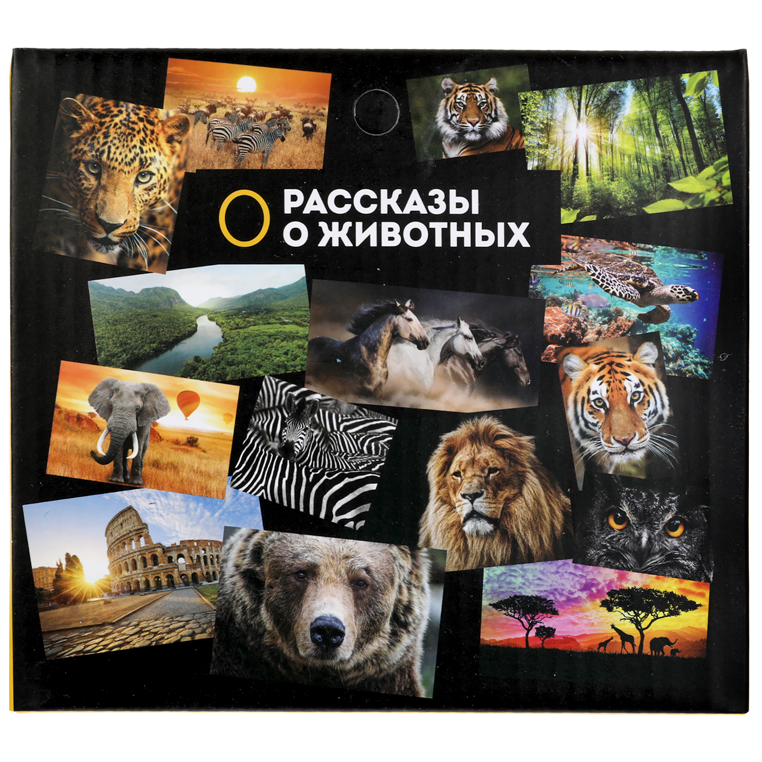 Игрушка Играем вместе - фото 7