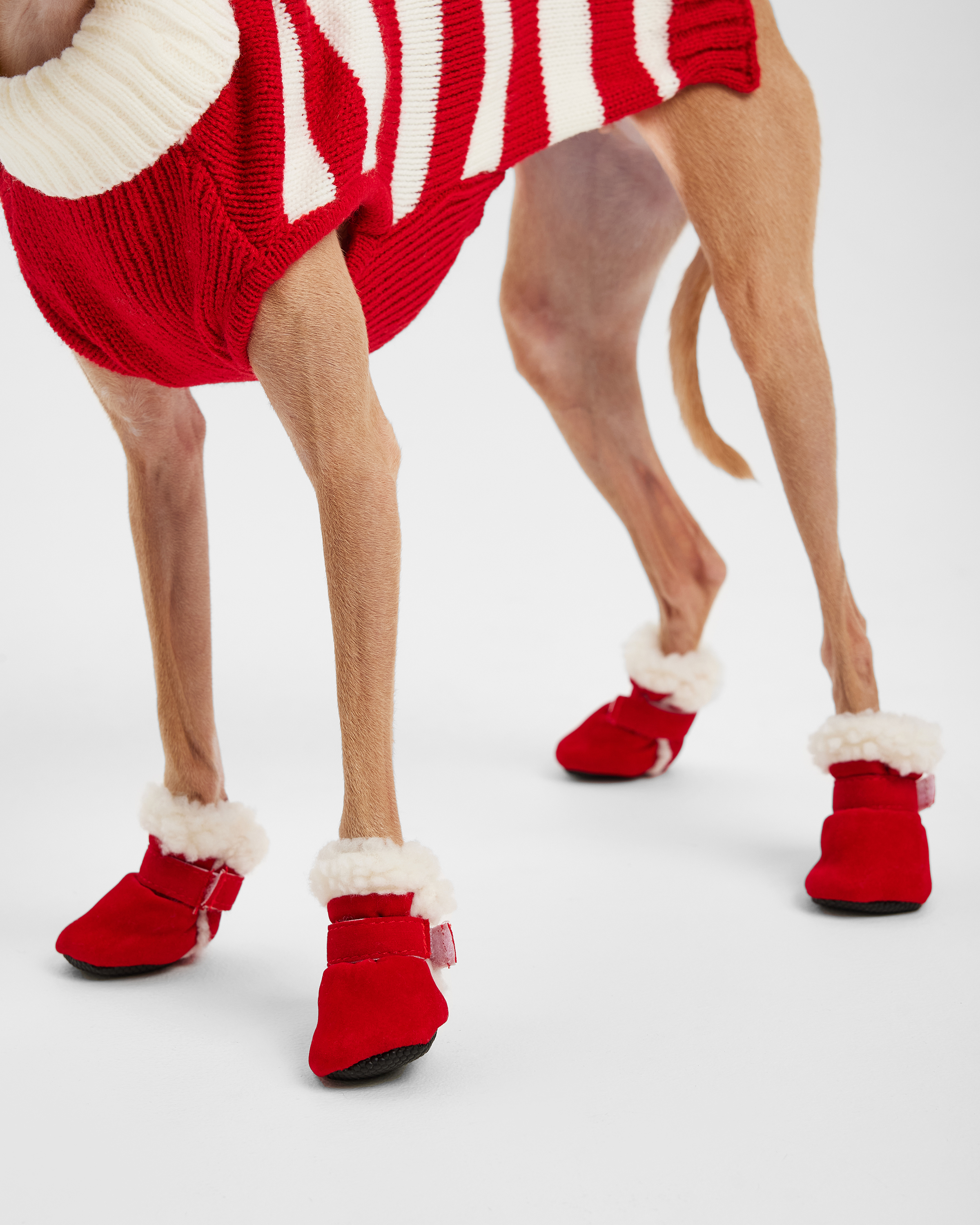 Ботинки для собак Зоозавр 4 шт - фото 7