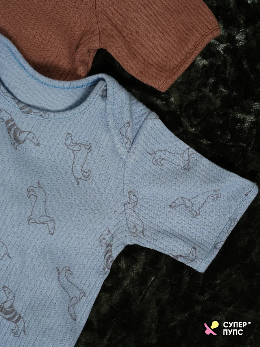 Боди 3 шт Супер Пупс нбр/3пр/бд/коррук/2026/таксы - фото 19