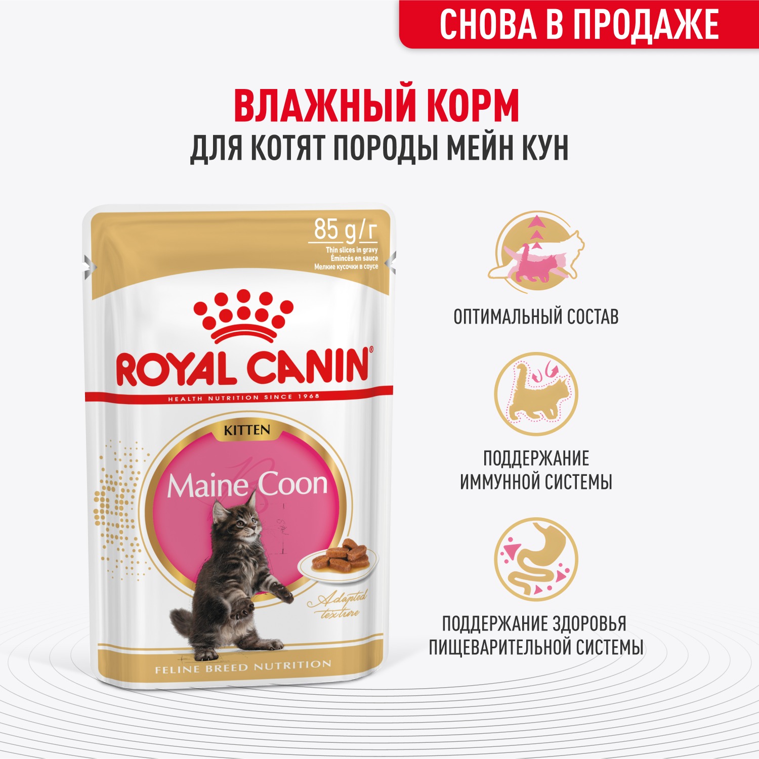 Корм для котят Royal Canin 85г Maine Coon Kitten соус для котят мейн кун пауч - фото 1