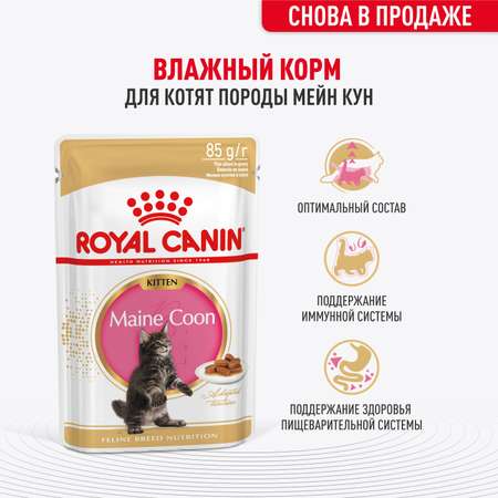 Корм для котят Royal Canin 85г Maine Coon Kitten соус для котят мейн кун пауч