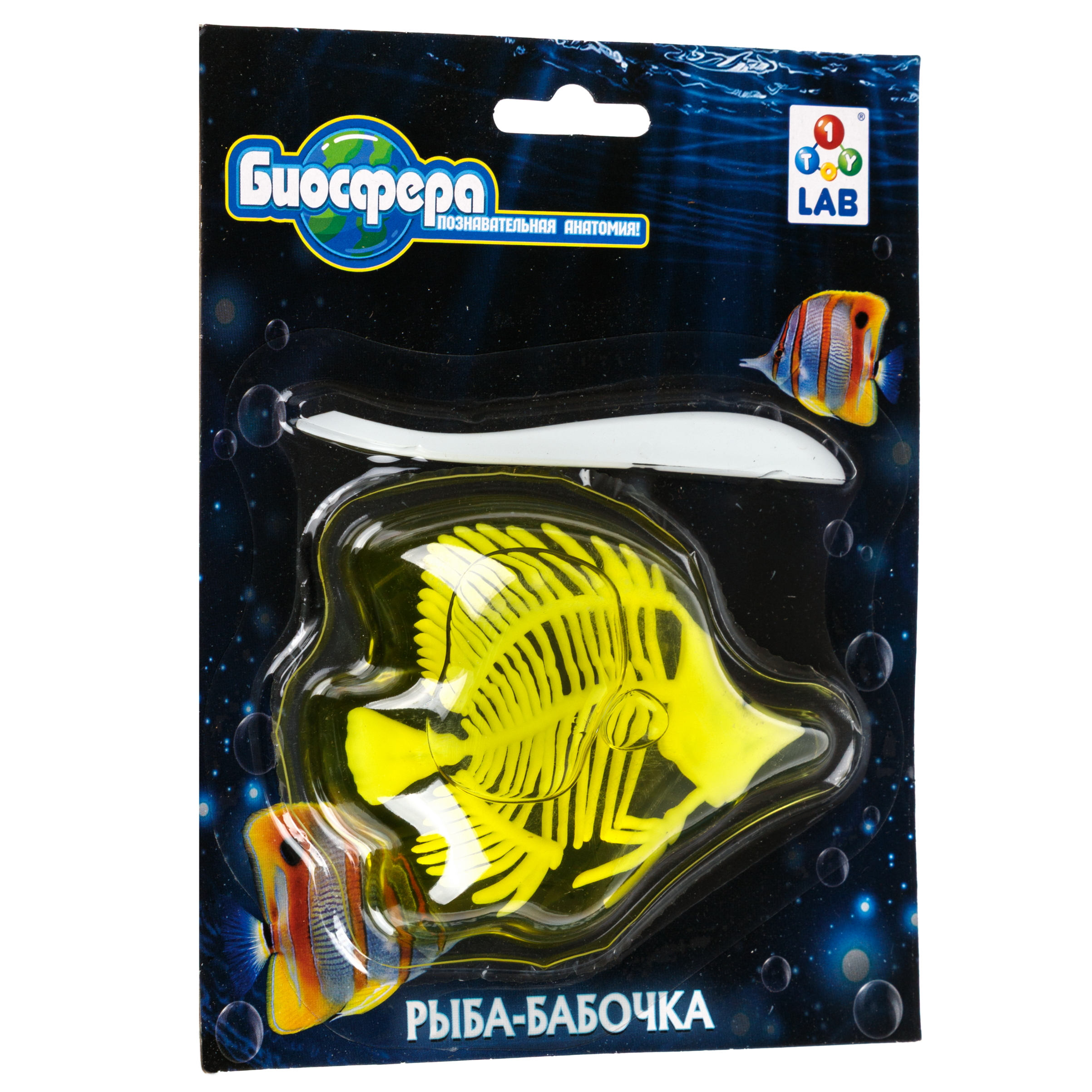 Набор для опытов 1TOY - фото 10