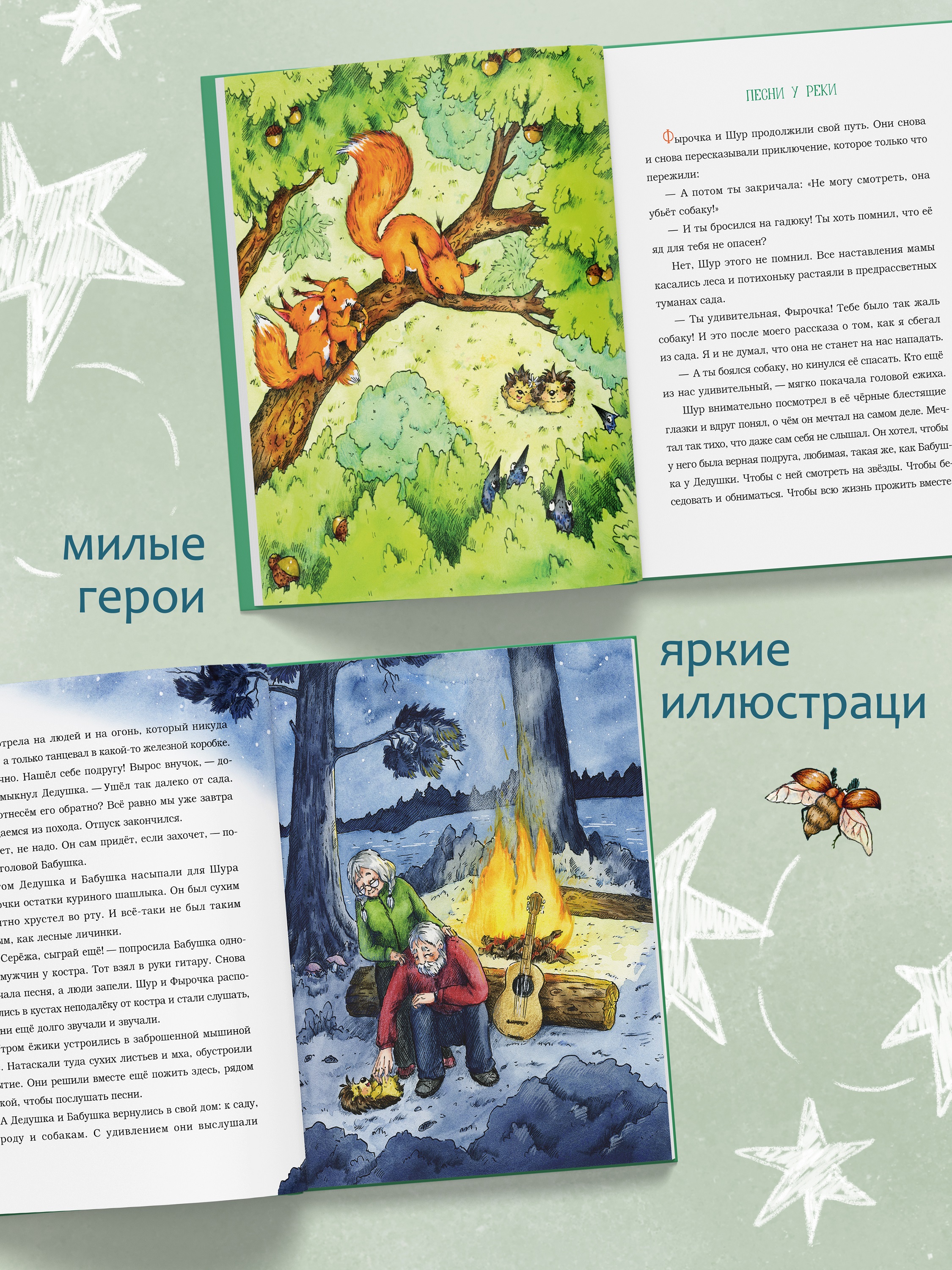 Книга для детей Амоза.Дети Садовый ёжик Шур - фото 2