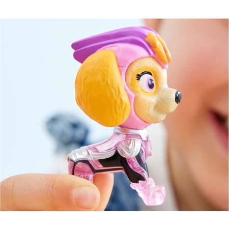 Игровой набор Paw Patrol Skye