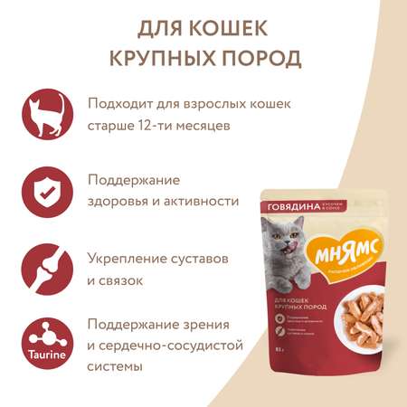 Корм для кошек Мнямс 85г с говядиной кусочки в соусе пауч