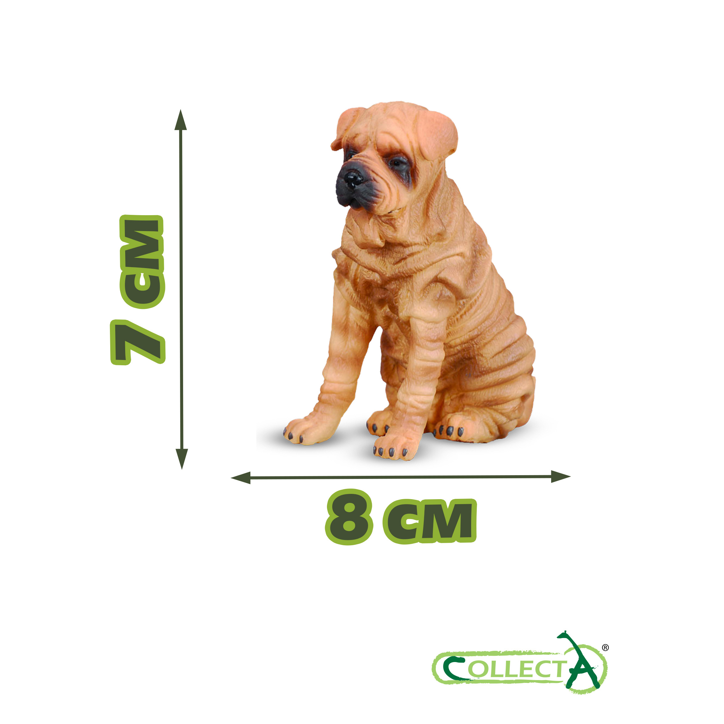 Фигурка Collecta Собака Шарпей - фото 2