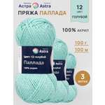 Пряжа Astra Premium Паллада акриловая 100 г 100 м 12 голубой 3 мотка