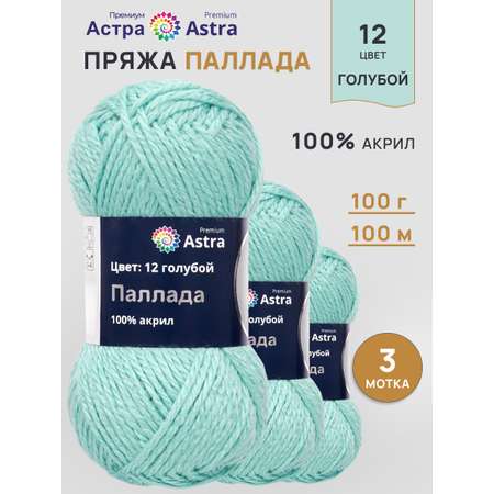 Пряжа Astra Premium Паллада акриловая 100 г 100 м 12 голубой 3 мотка