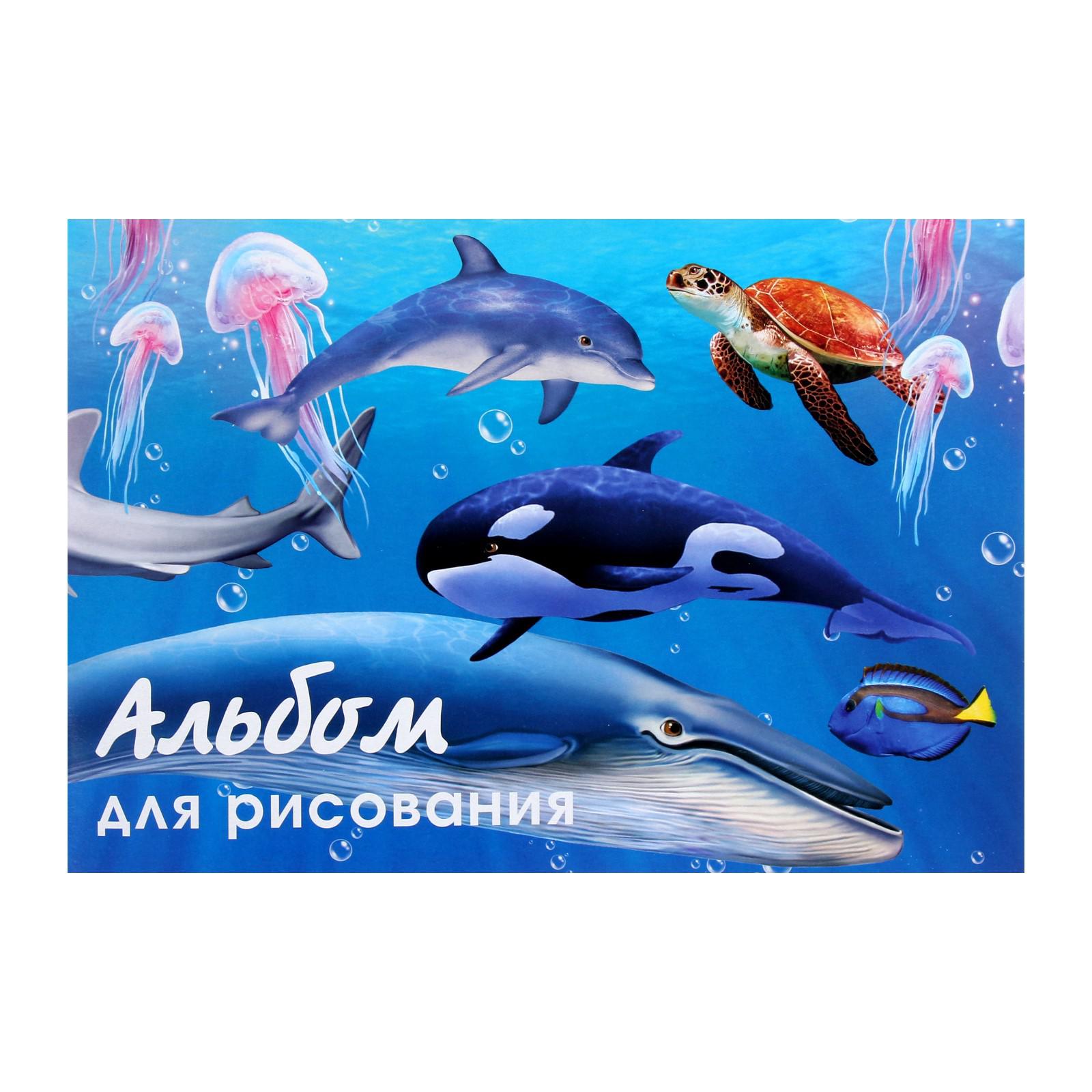 Альбом Calligrata А4 40 лист. - фото 1