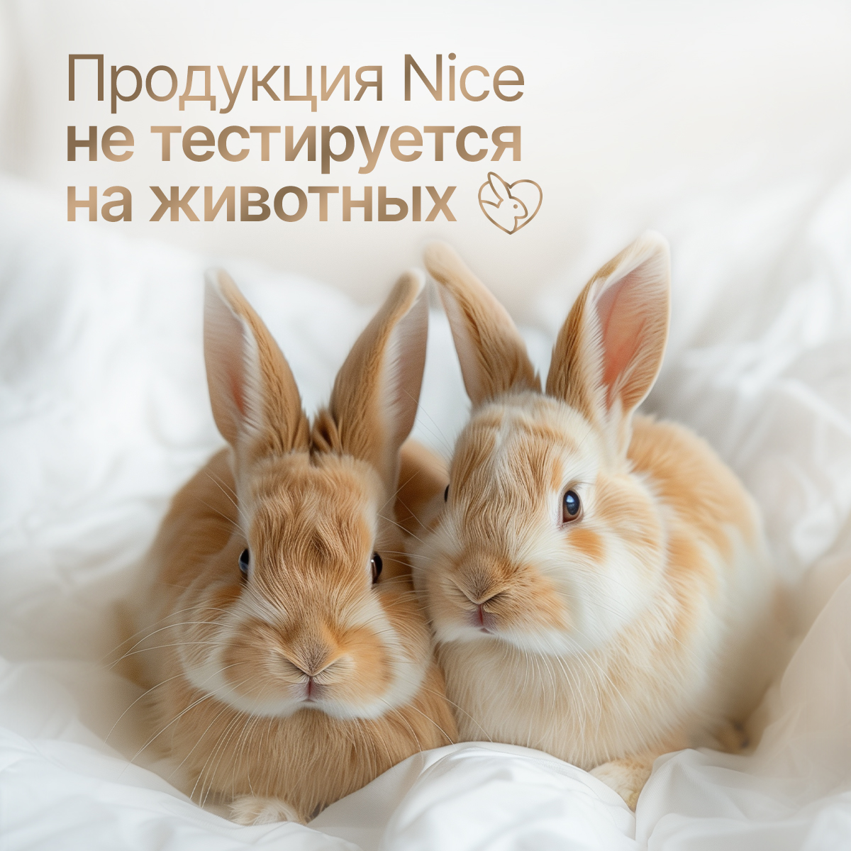 Освежитель воздуха NICE by Septivit Oakmoss Amber 300 мл - фото 9