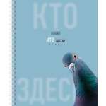 Тетрадь Hatber клетка 48 лист.
