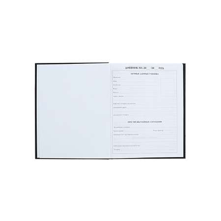 Дневник Calligrata обл 5-11кл, глянц/лам, 48л, Calligrata \"Киберпанк. Парень\"